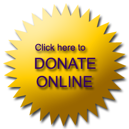 wyc-donate-online